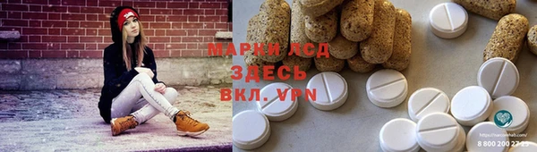 PSILOCYBIN Вяземский