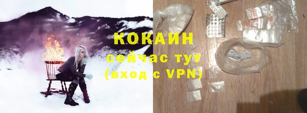 PSILOCYBIN Вяземский