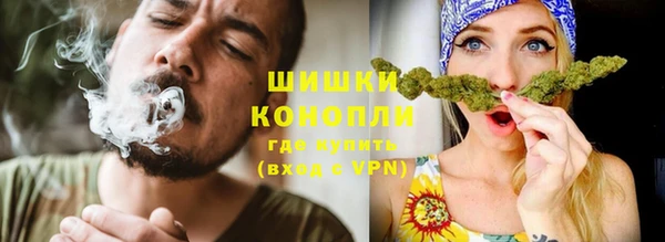 ГАЛЛЮЦИНОГЕННЫЕ ГРИБЫ Волосово