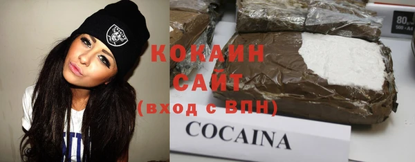 PSILOCYBIN Вяземский