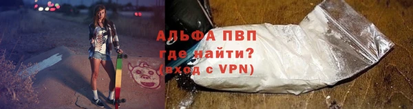 ГАЛЛЮЦИНОГЕННЫЕ ГРИБЫ Волосово