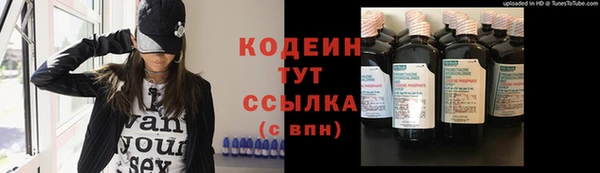 прущий лед Вязьма