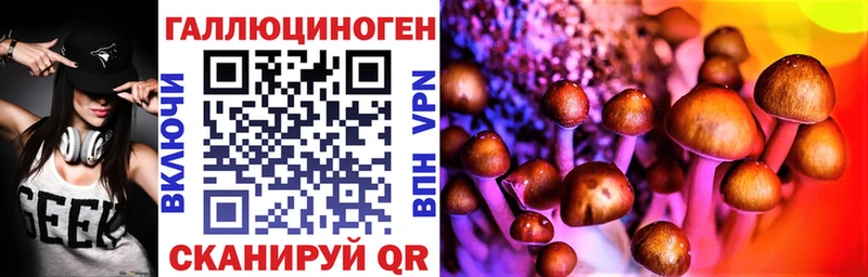 Псилоцибиновые грибы MAGIC MUSHROOMS Плёс